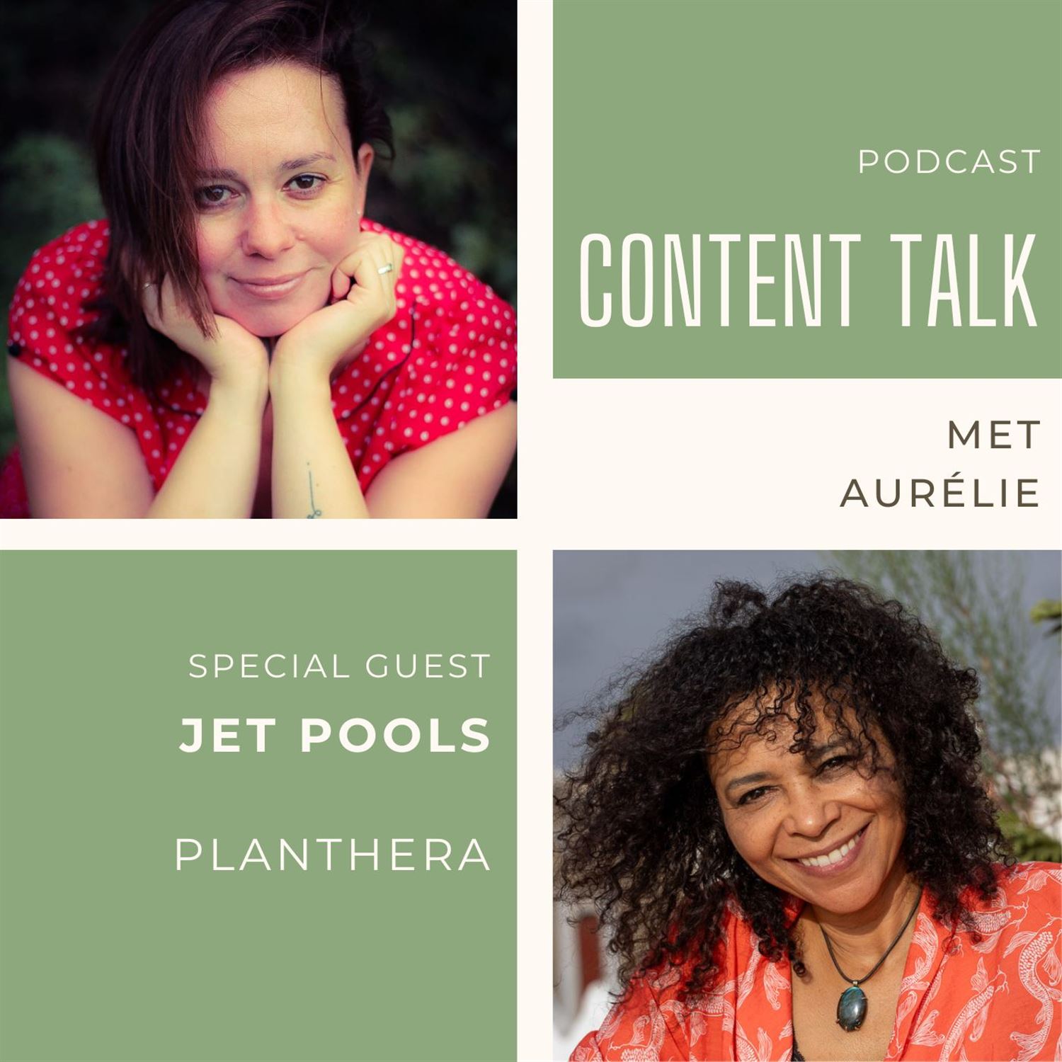 De kracht van ontspanning, in gesprek met Jet Pools #296 Artwork